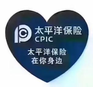 新手车主必看!车险避坑指南